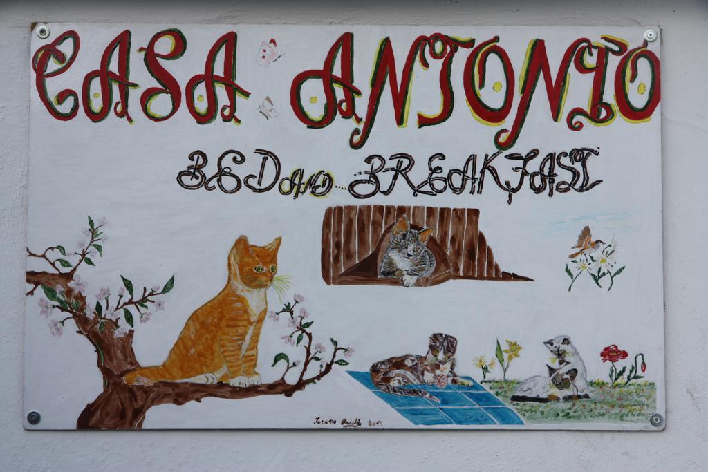 バラーノ・ディスキア Casa Antonio Bed & Breakfast エクステリア 写真
